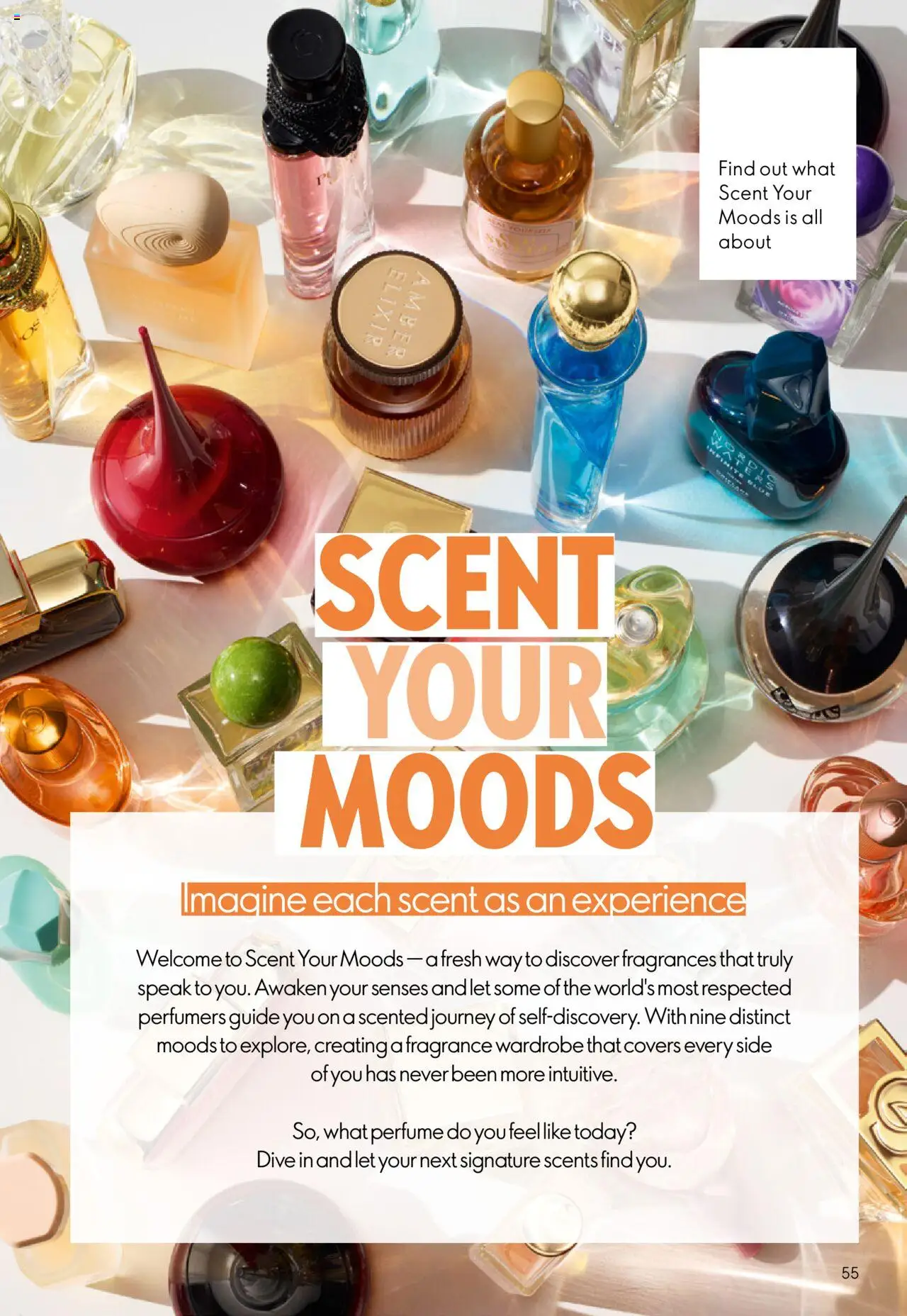 {H1} | Page: 55 | Products: Perfume, Fragrance, Wardrobe