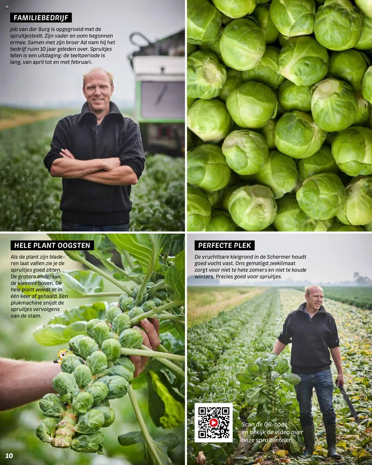 {H1} | Pagina: 10 | Producten: Video