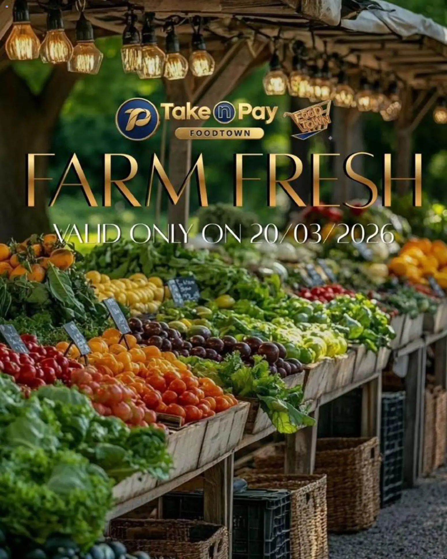 New Take n Pay catalogue – valid from 20.03.2026 | Page: 6