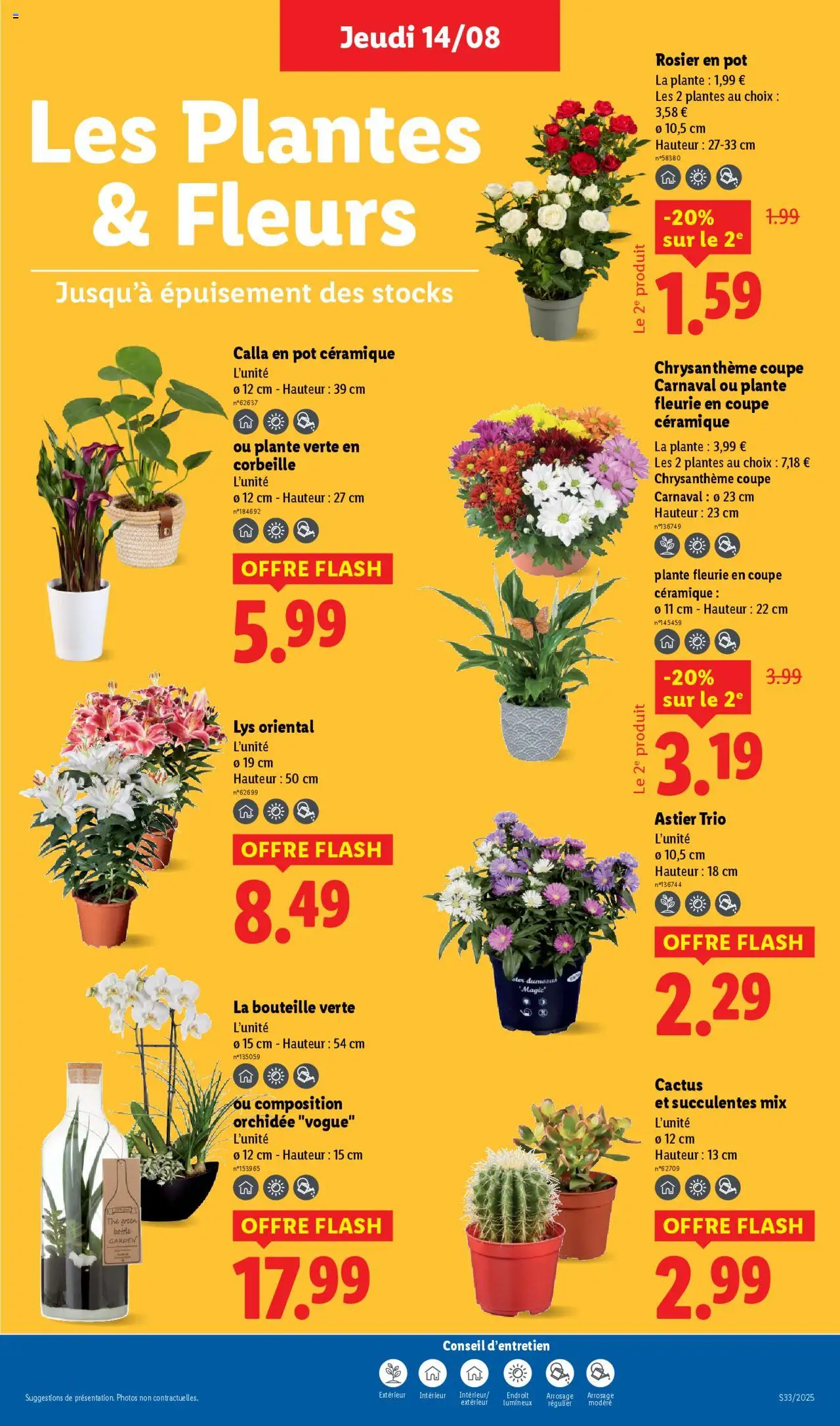  | Page: 27 | Produits: Rosier en pot, Chrysanthème, Orchidée, Thé