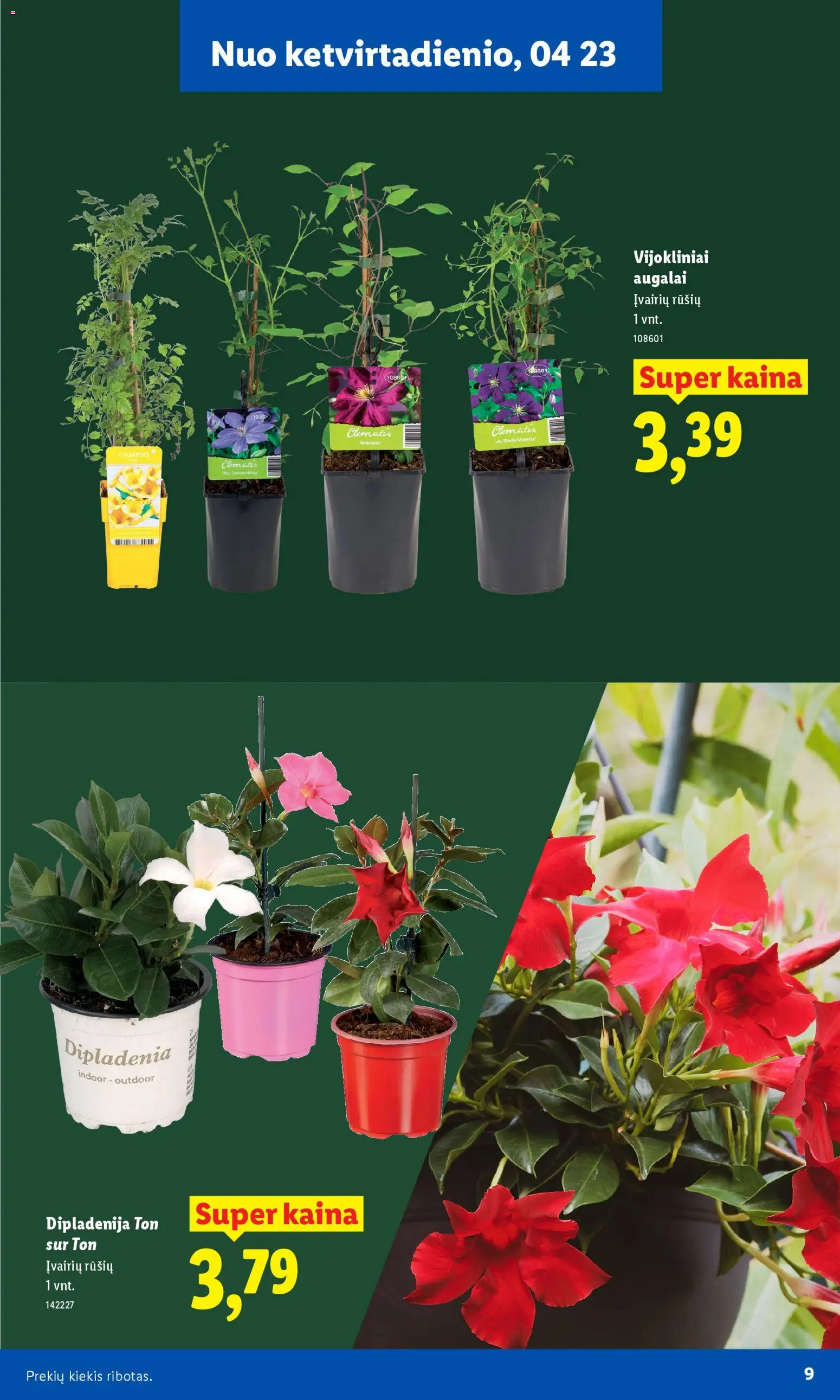 LIDL akcijos nuo 20.02.2026 | Puslapis: 9