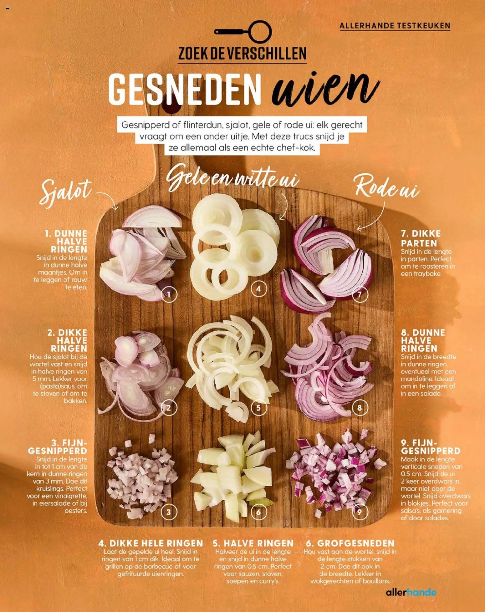 {H1} | Pagina: 111 | Producten: Ui