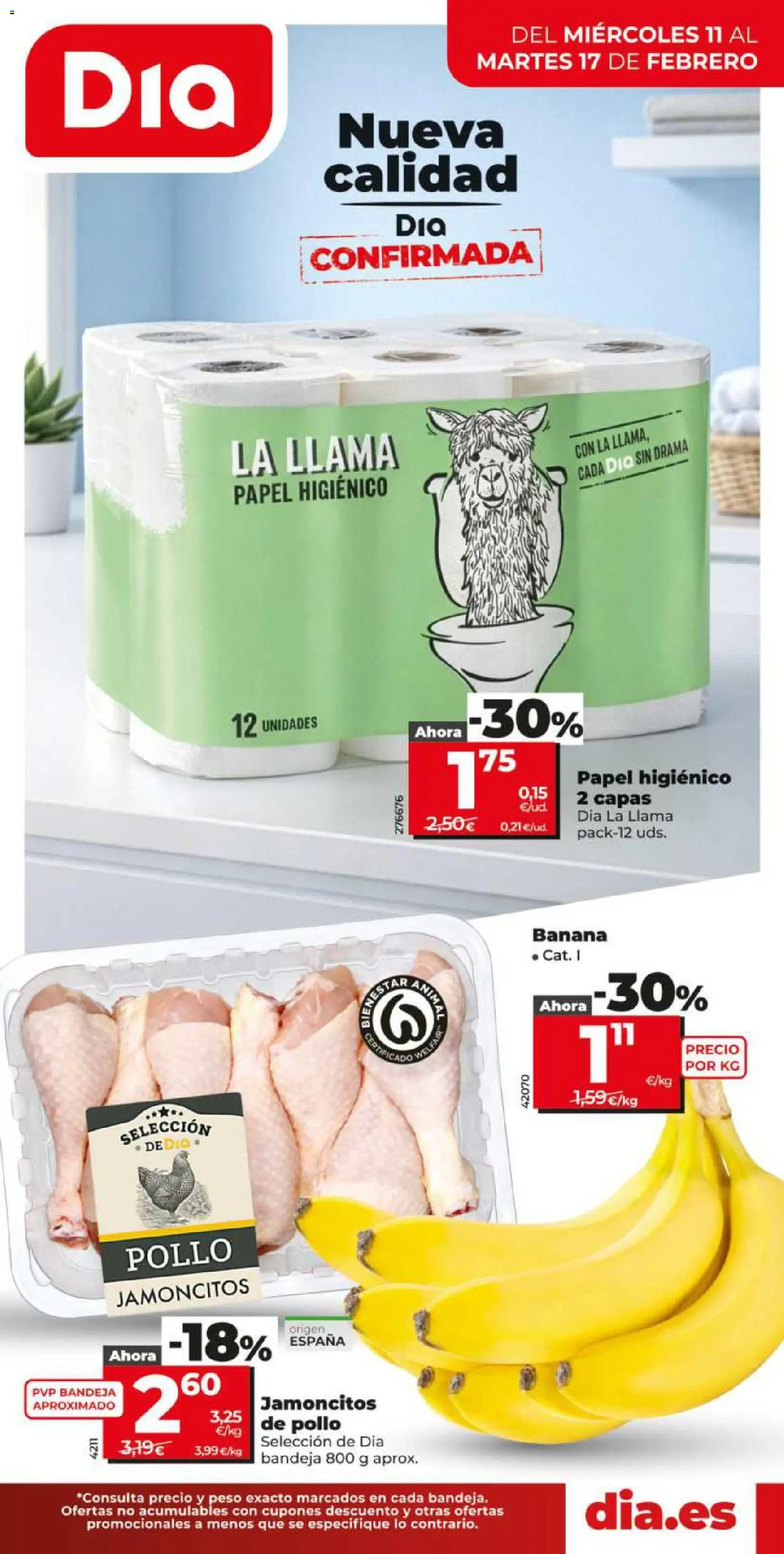 Dia - folleto Market │ válido desde el 11.02.2026 | Página: 1