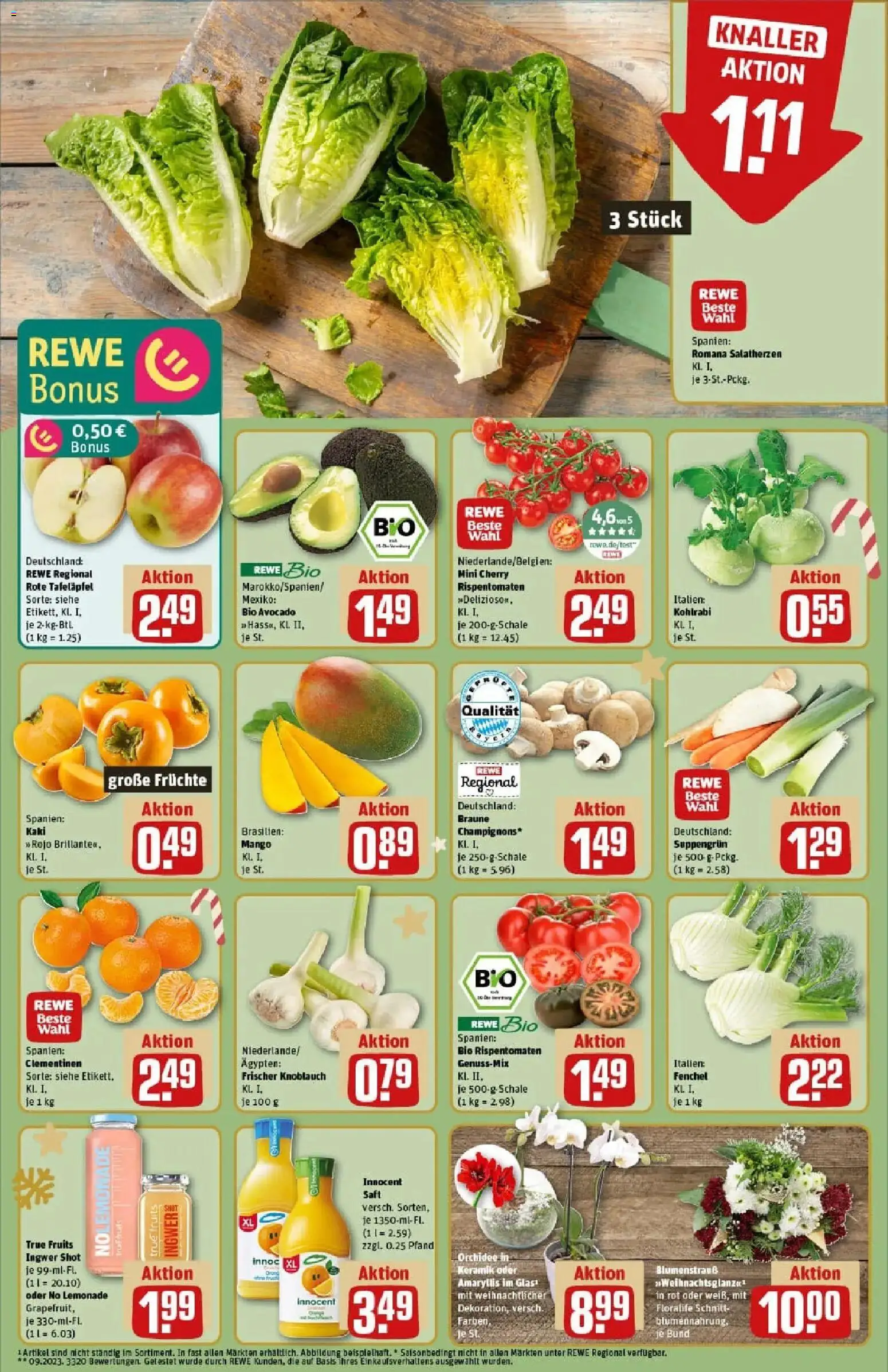 Rewe prospekt Oettingen	 – gültig ab 01.12.2025 | Seite: 10 | Produkte: Orchidee, Avocado, Champignons, Knoblauch