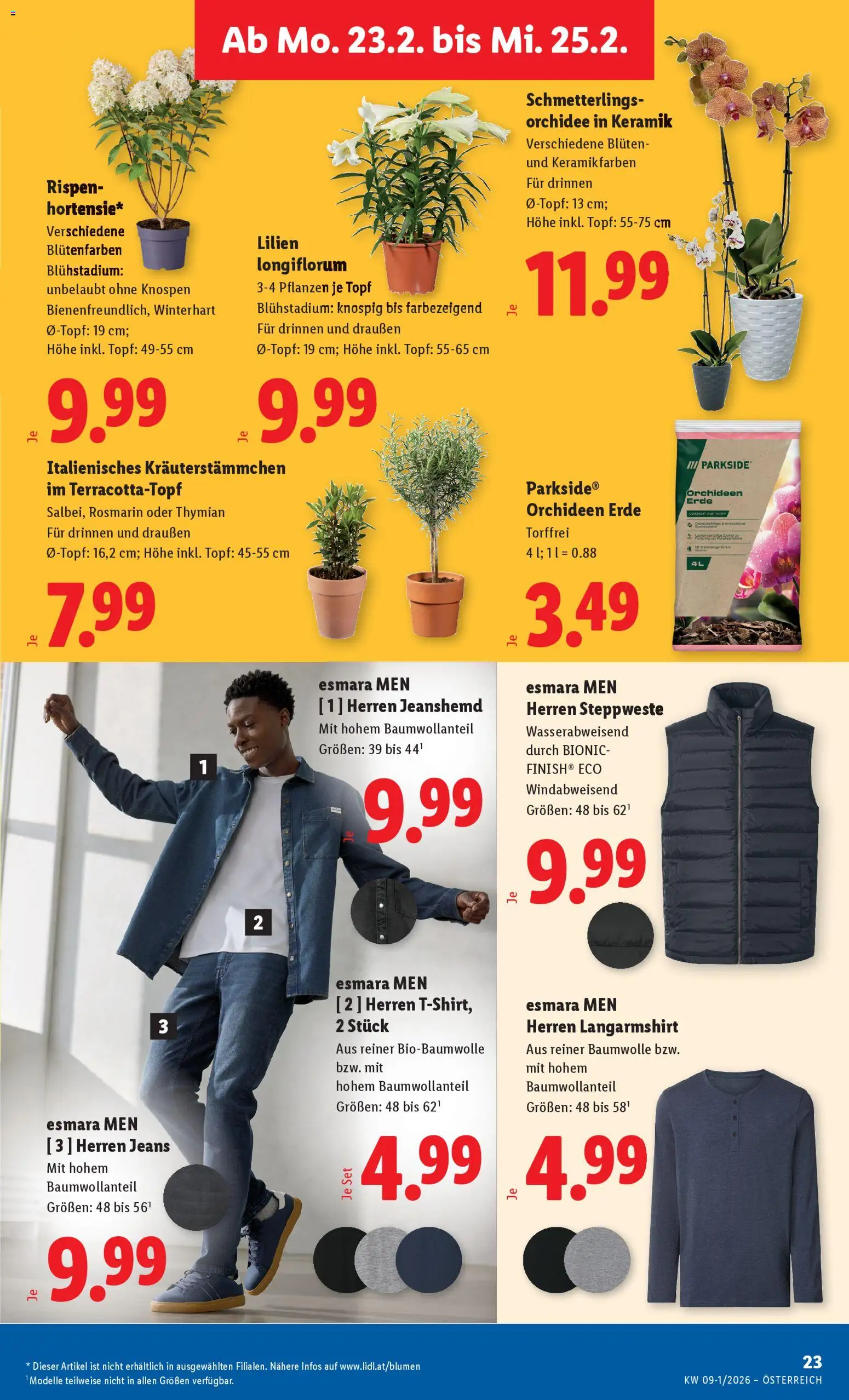 Lidl Flugblatt - Eisenstadt, Ebenfurth, Mattersburg gültig ab 19.02.2026 | Seite: 27