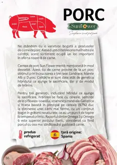 Ofertele Selgros valabile de la 27.04.2023 | Pagină: 86 | Produse: Semințe, Lapte, Rasol, Fleică