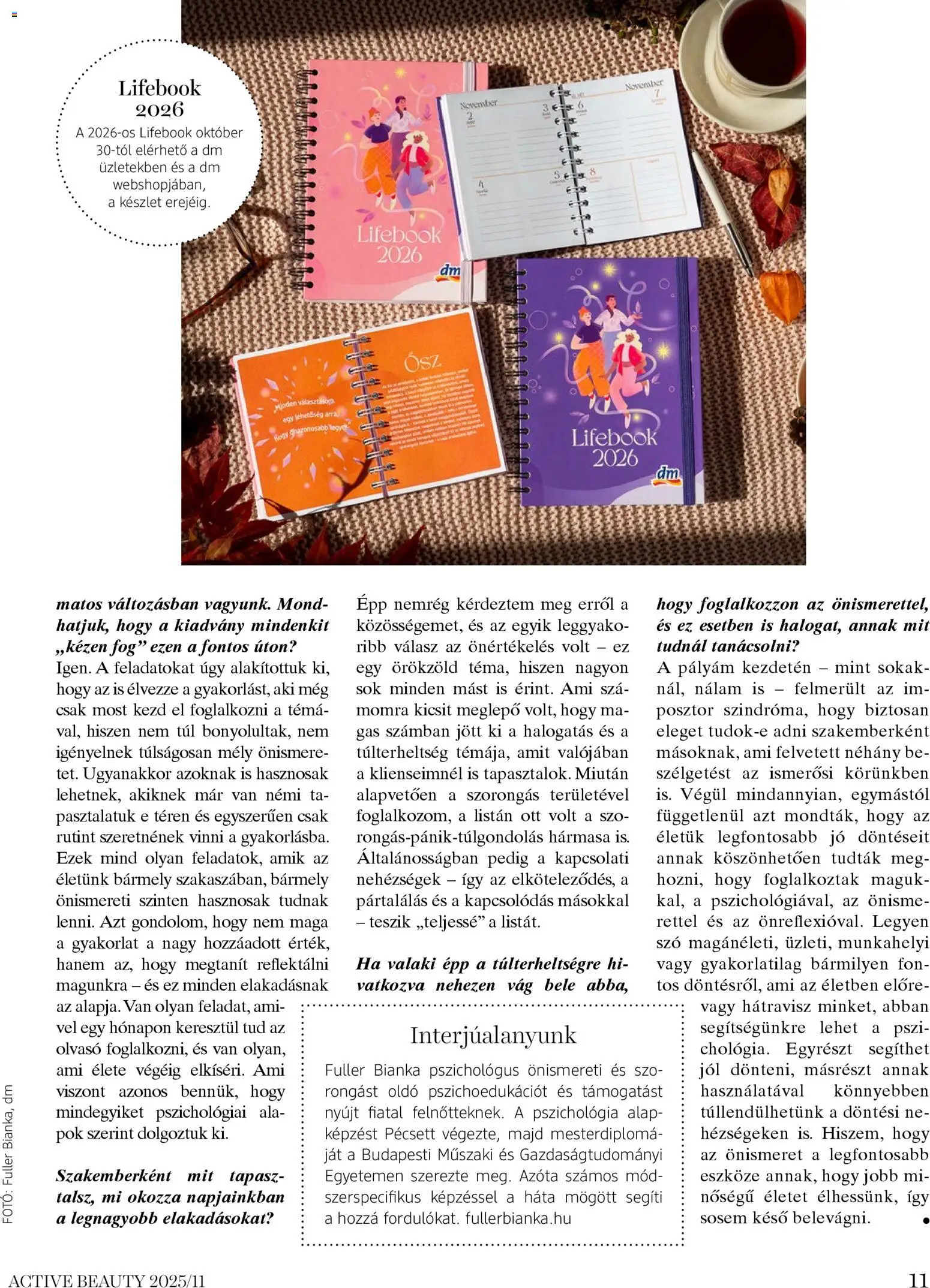 DM Drogerie Markt akciós ujság - amely érvényes a következő dátumtól: 13.11.2025 | Oldal: 11