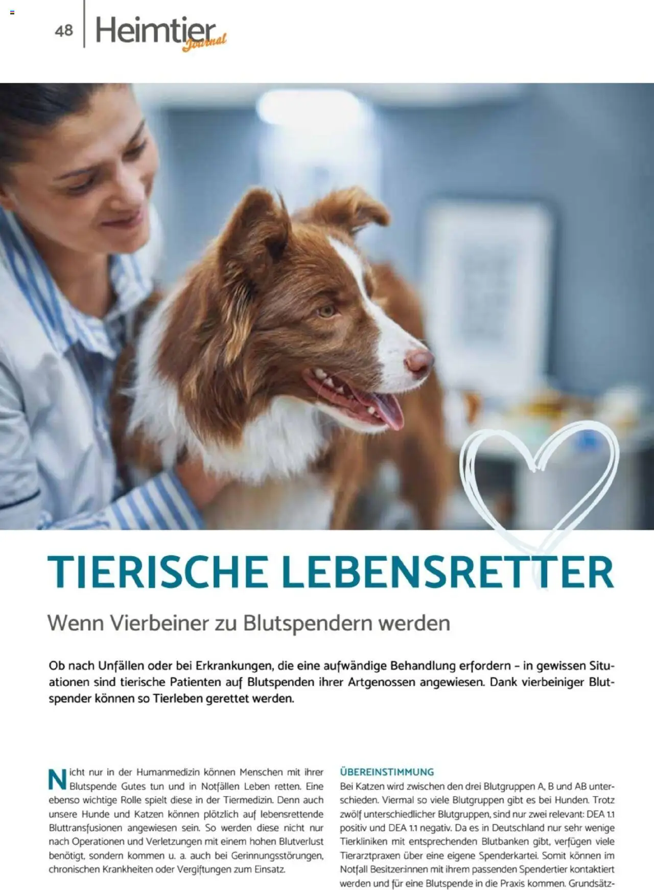zookauf  Heimtier Journal - gültig ab dem 21.07.2025 | Seite: 48