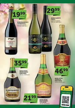 Pogląd oferty "ABC gazetka - Katalog alkoholowy" - ważna od 19.03.2026 | Strona: 3 | Produkty: Miód, Miód pitny, Wino, Lambrusco