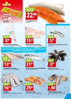 Aligro aktionen ab 16.03.2026 gültig | Seite: 5 | Produkte: Tintenfisch