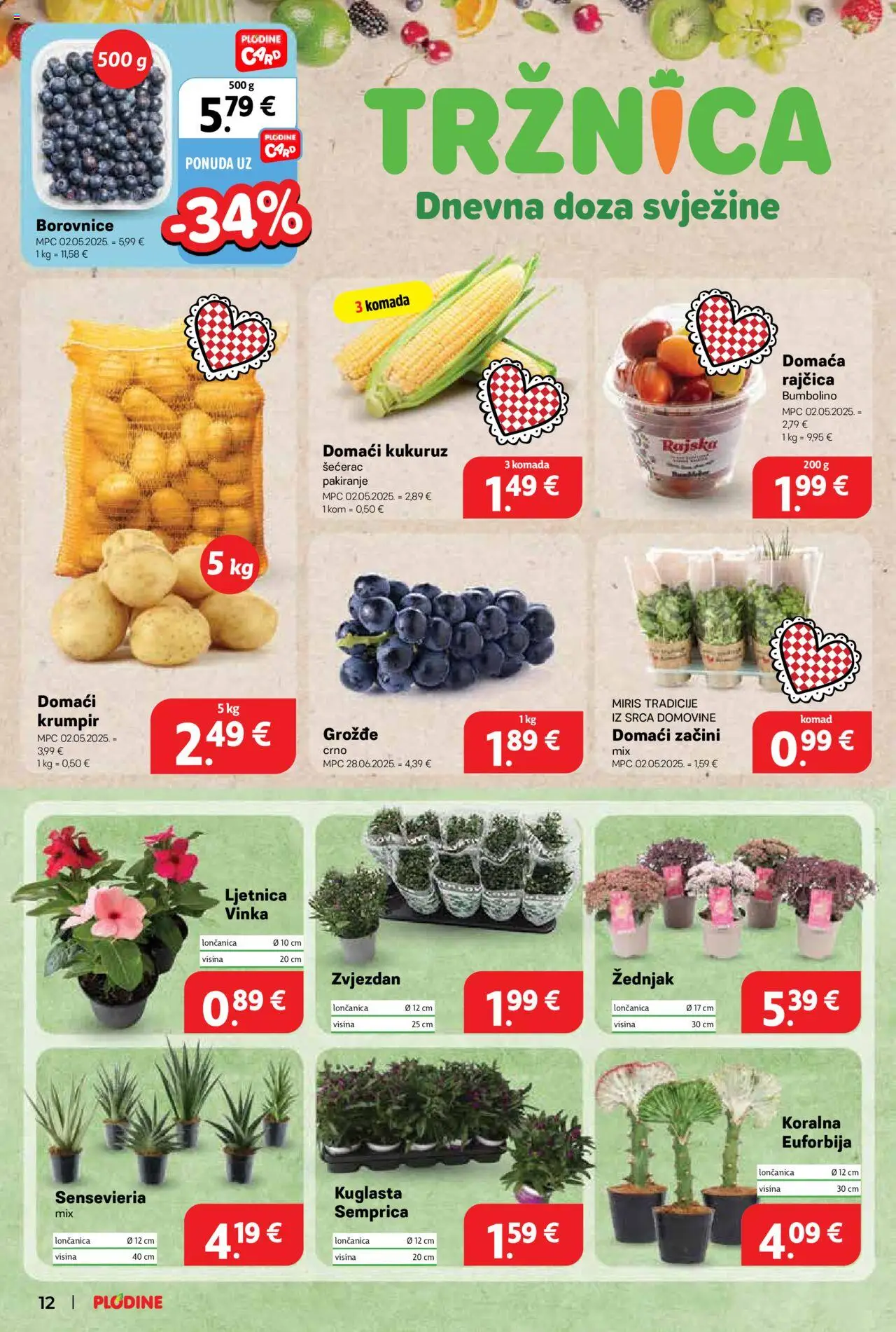Plodine katalog | vrijedi od 13.08.2025 | Stranica: 12 | Proizvodi: Kukuruz, Grožđe, Rajčica, Borovnice