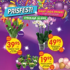 EKO - erbjudanden - Förhandsvisning av reklamblad från butik EKO aktuell från 12.01.2026