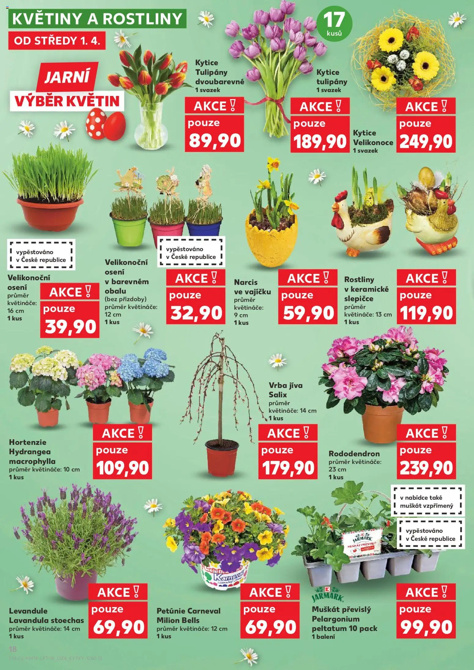 Kaufland leták od 01.04.2026 | Strana: 18 | Produkty: Rostliny, Tulipány, Kytice, Květiny
