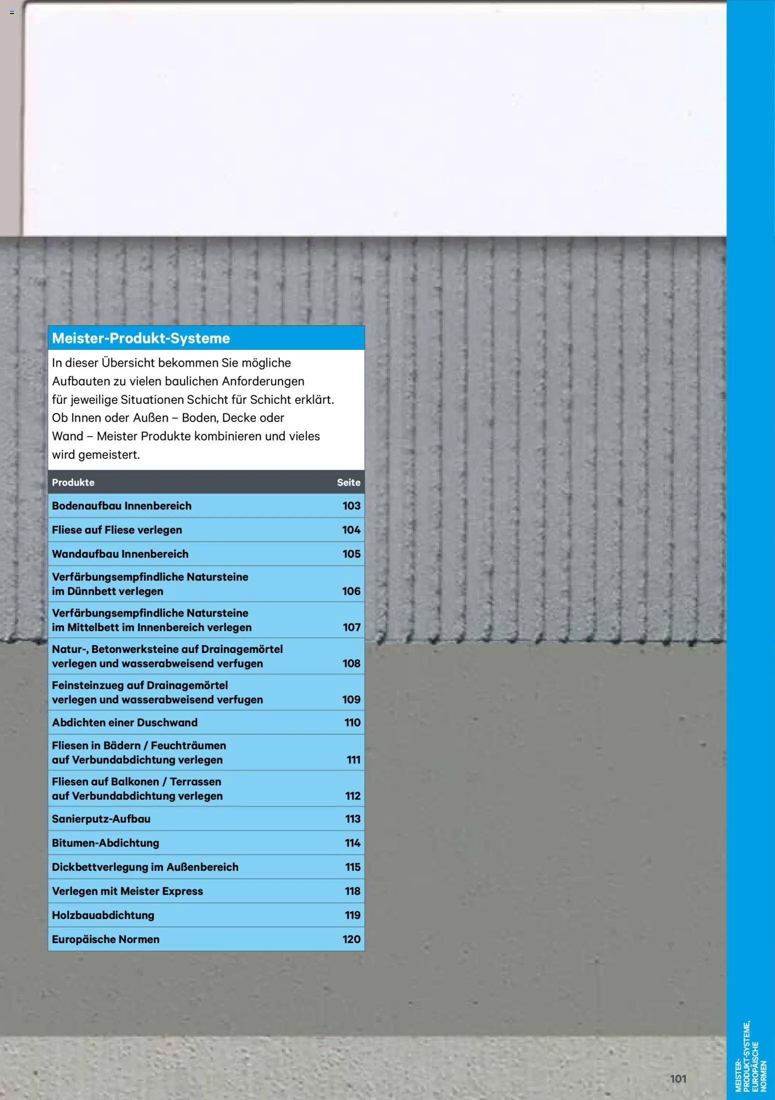 Lagerhaus  Meister Katalog 2026 gültig ab 02.01.2026 | Seite: 101 | Produkte: Decke