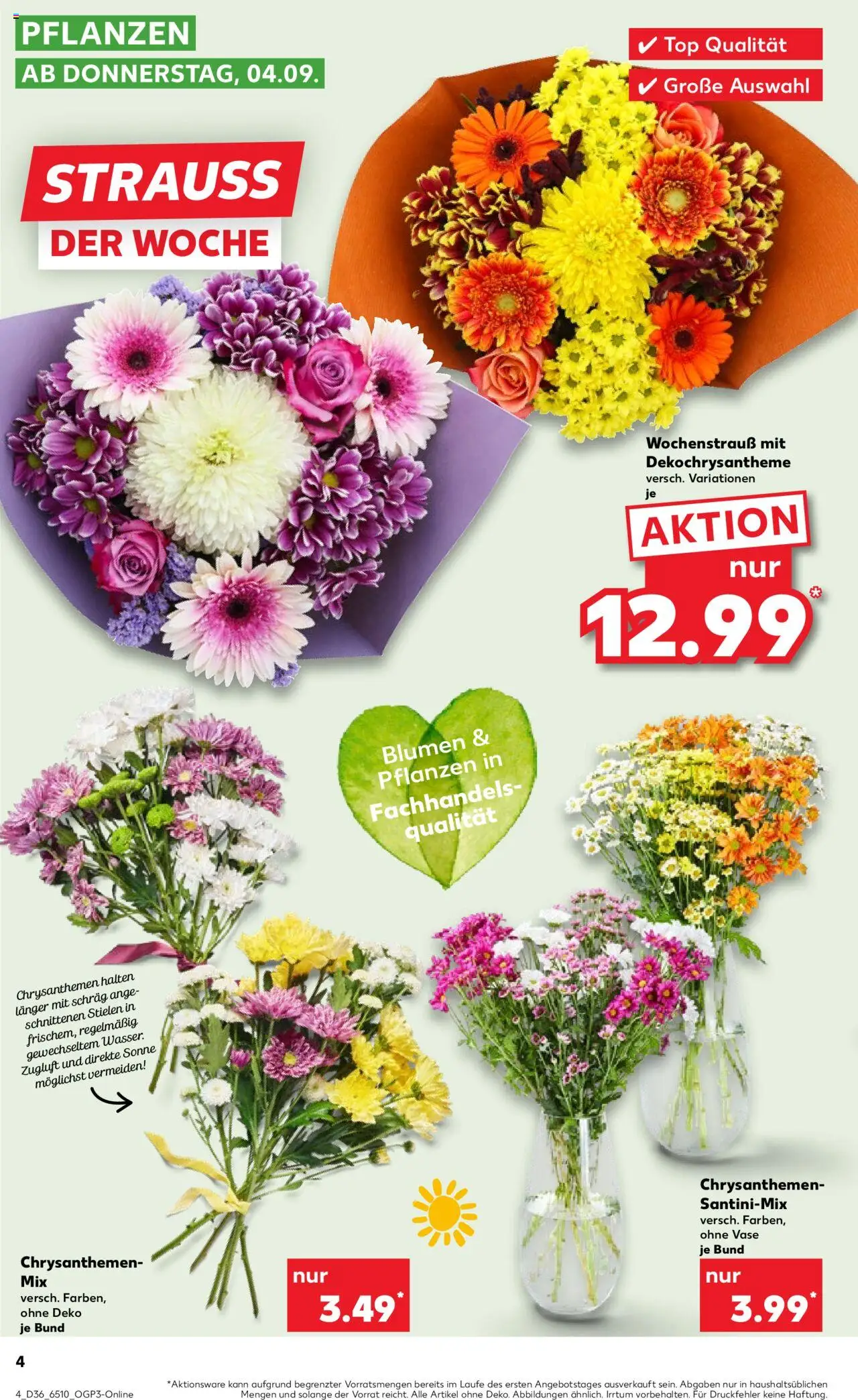 Kaufland prospekt Bremen	 - gültig ab dem 04.09.2025 | Seite: 4 | Produkte: Top, Blumen, Vase