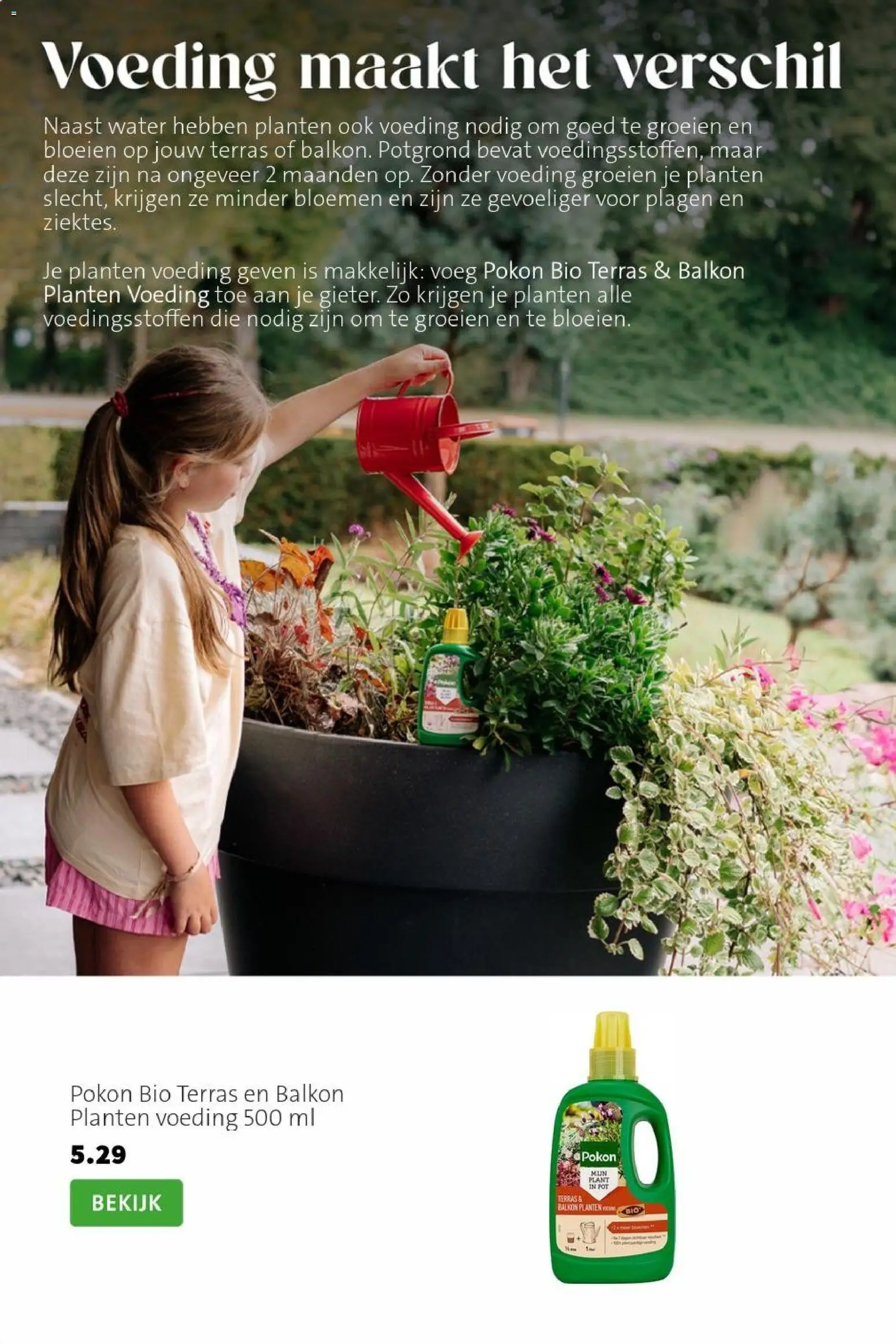 {H1} | Pagina: 6 | Producten: Pot, Bloemen, Festék