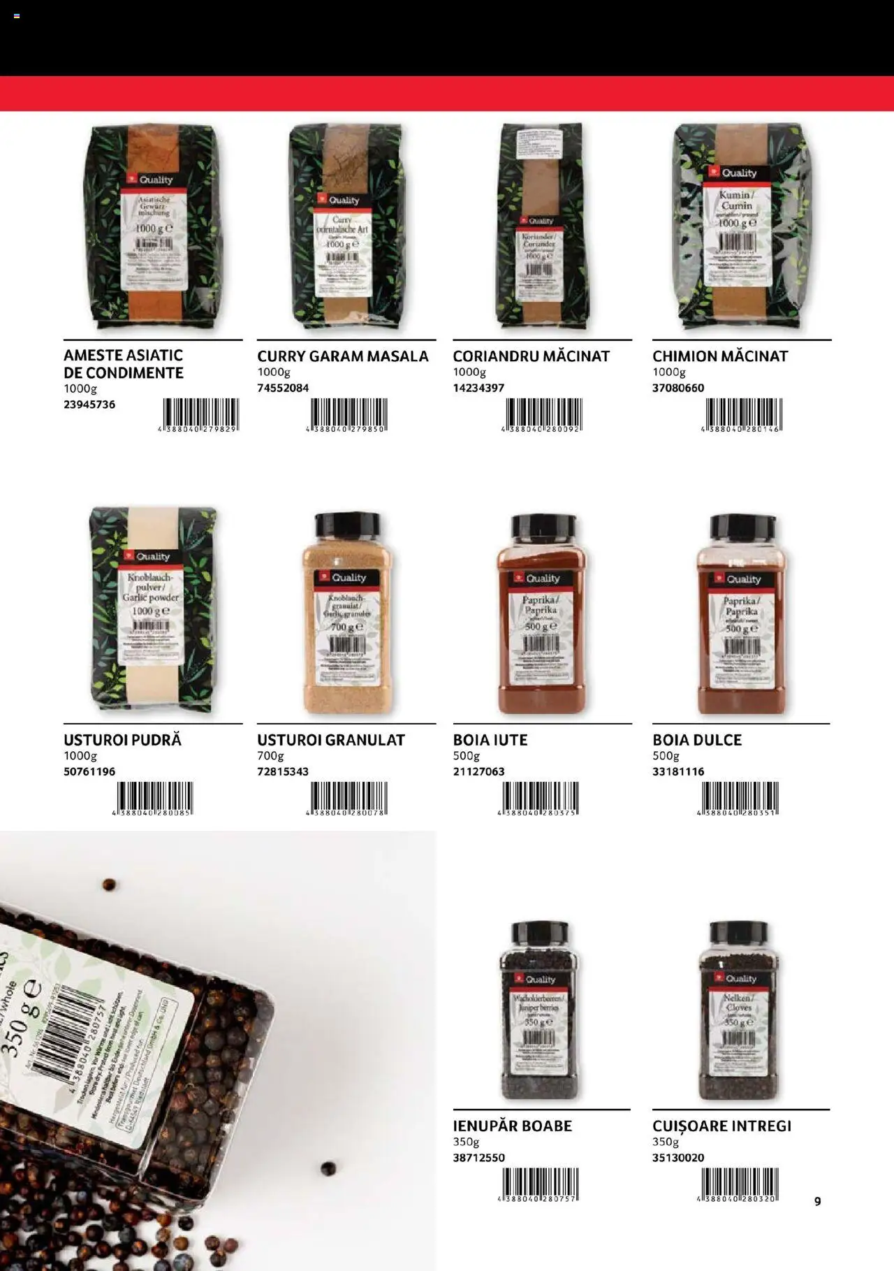 Catalog Selgros - Transgourmet – valabil de la 29.02.2024 | Pagină: 9 | Produse: Pudră, Condimente, Usturoi