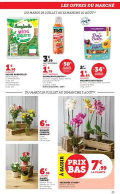  | Page: 23 | Produits: Salade, Menthe, Chouchou, Orchidée