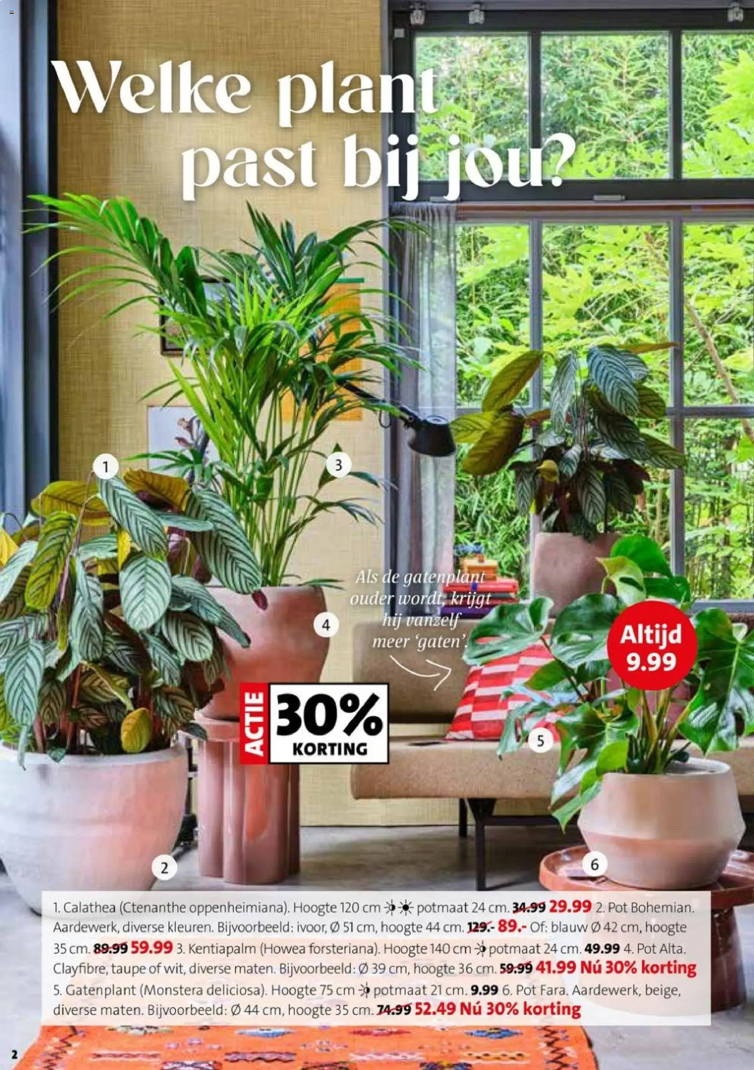 {H1} | Pagina: 2 | Producten: Pot