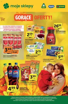 Pogląd oferty "Euro Sklep Gazetka - Katalog" - ważna od 16.10.2025