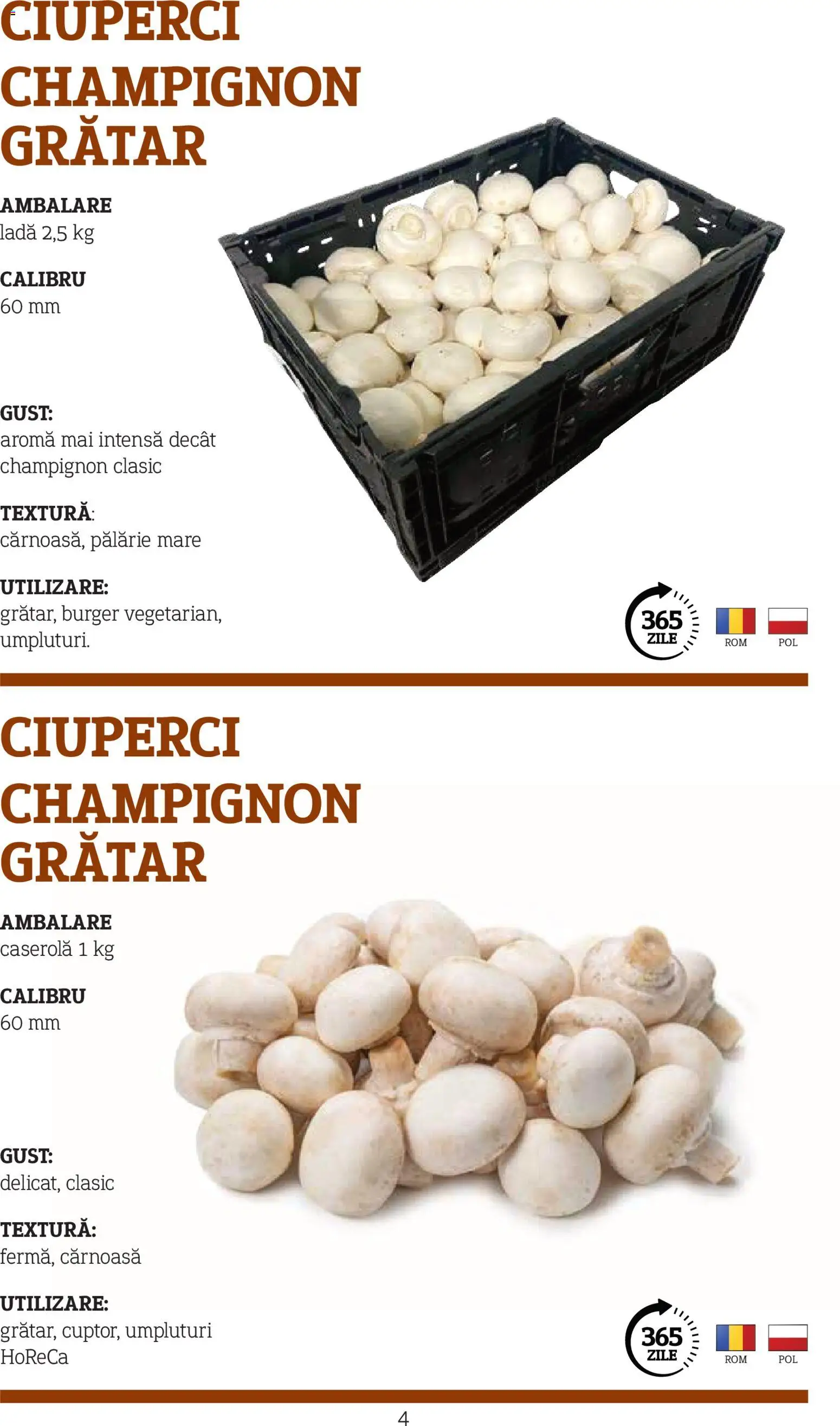 Noul catalog Metro – valabil de la 10.11.2025 | Pagină: 4 | Produse: Pălărie, Grătar, Ciuperci, Burger