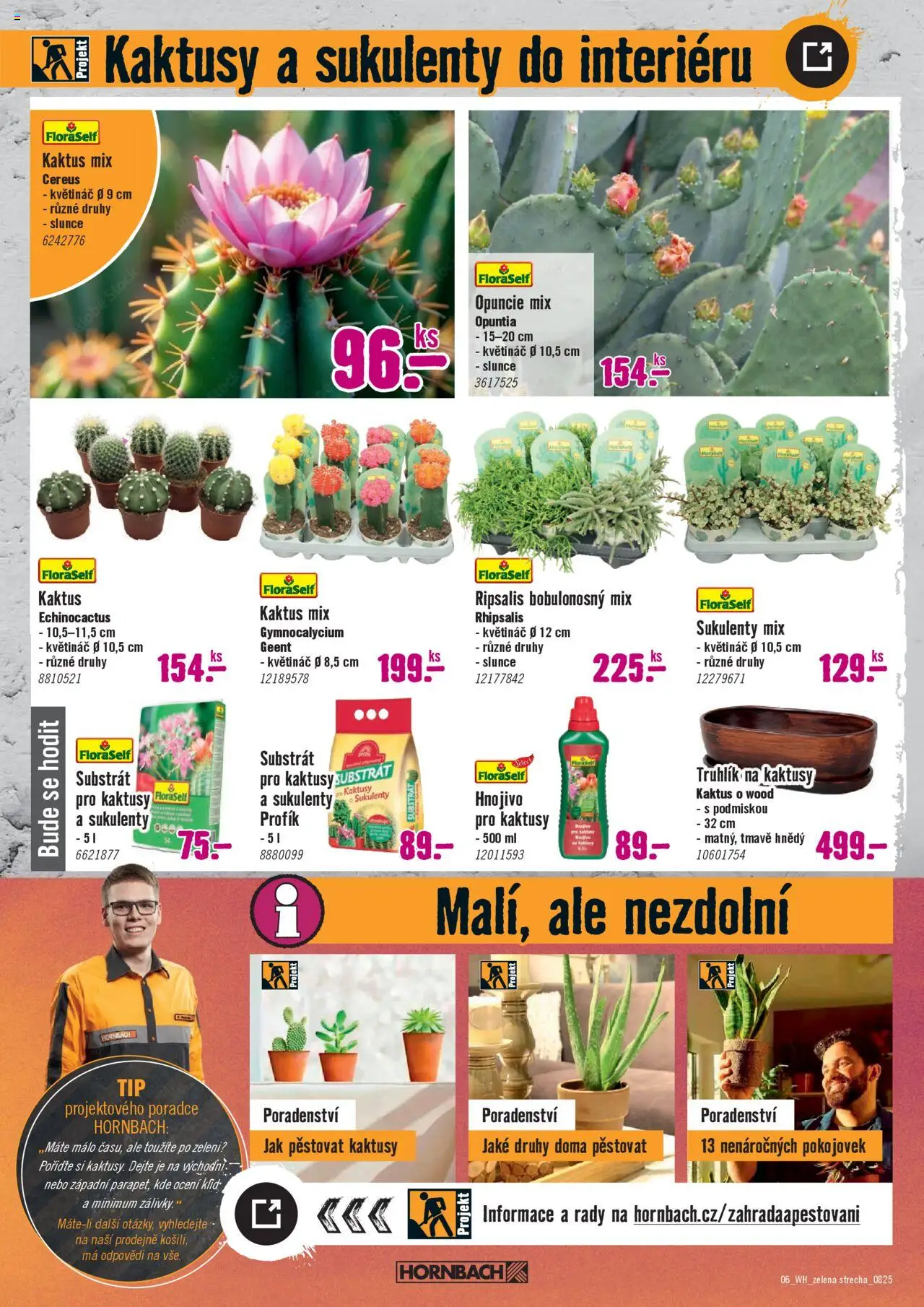 HORNBACH leták - Zelená střecha od 06.08.2025 | Strana: 6 | Produkty: Truhlík, Substrát, Hnojivo, Květináč