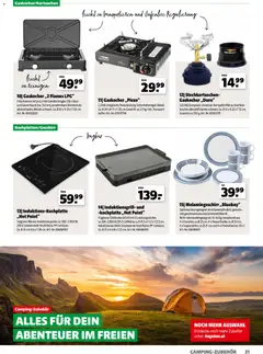 Hagebau Gartenjahr ab 13.03.2026 gültig | Seite: 31