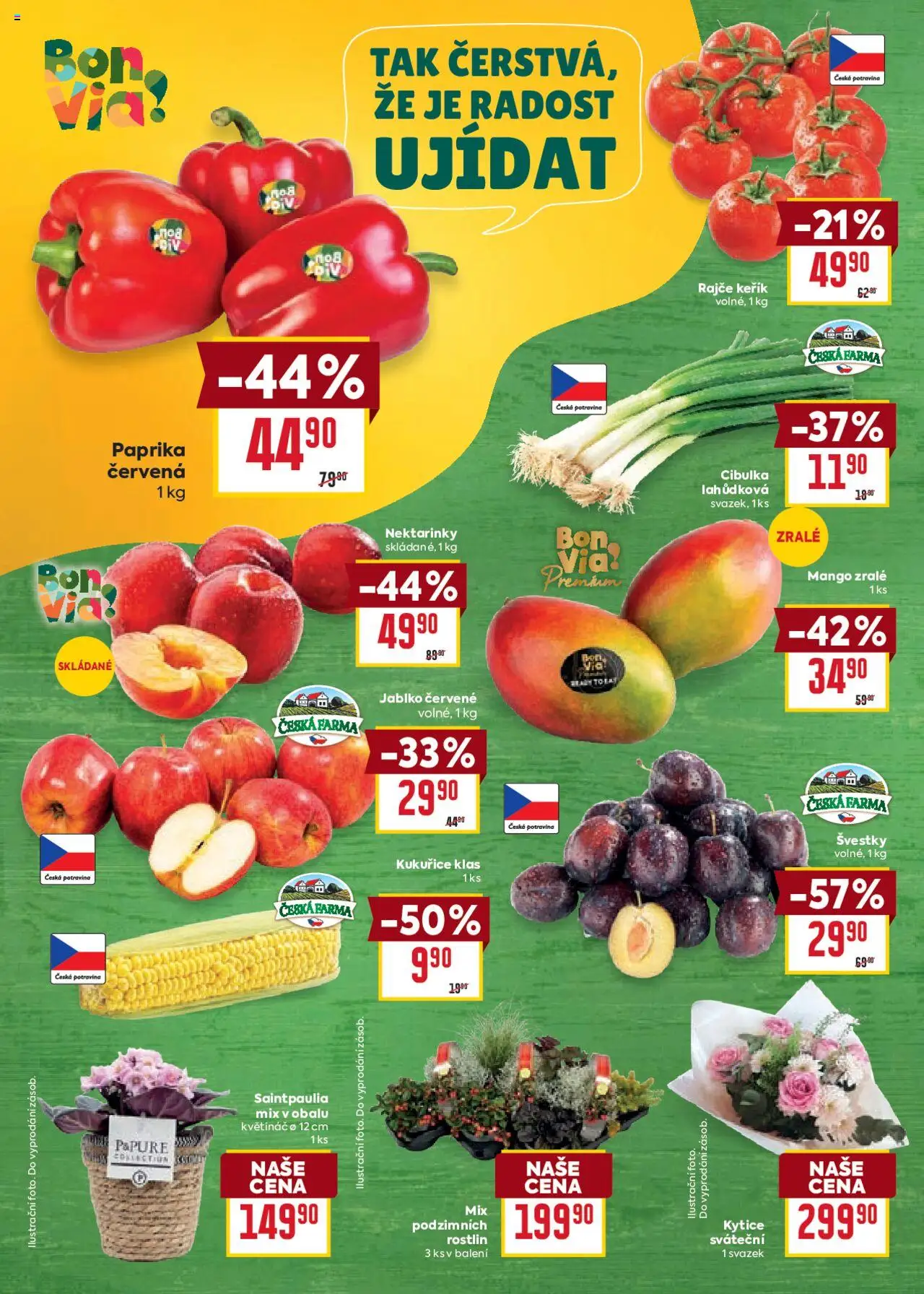 Billa Velký leták od 10.09.2025 | Strana: 2 | Produkty: Nektarinky, Paprika červená, Kytice, Květináč