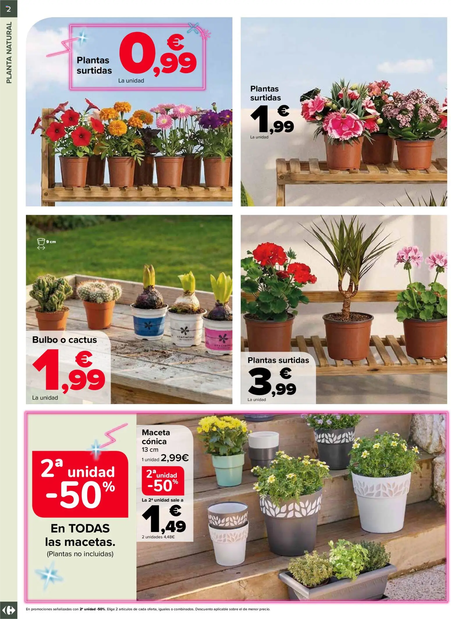 Carrefour Jardin │ válido desde el 19.02.2026 | Página: 2 | Productos: Maceta