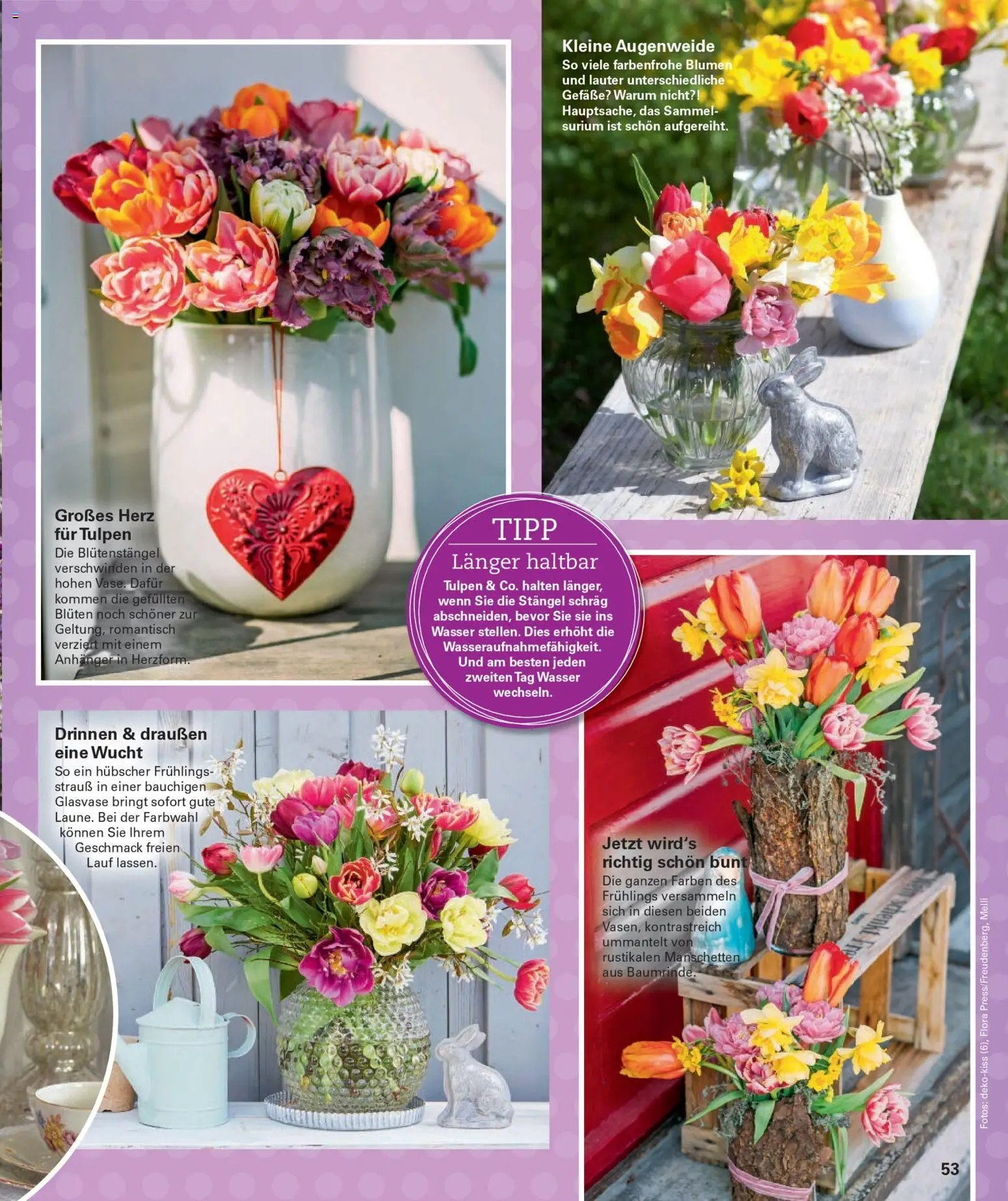 Poco Prospekt Wohnwelt Frühling 2026 – gültig ab 16.02.2026 | Seite: 53 | Produkte: Blumen, Wasser