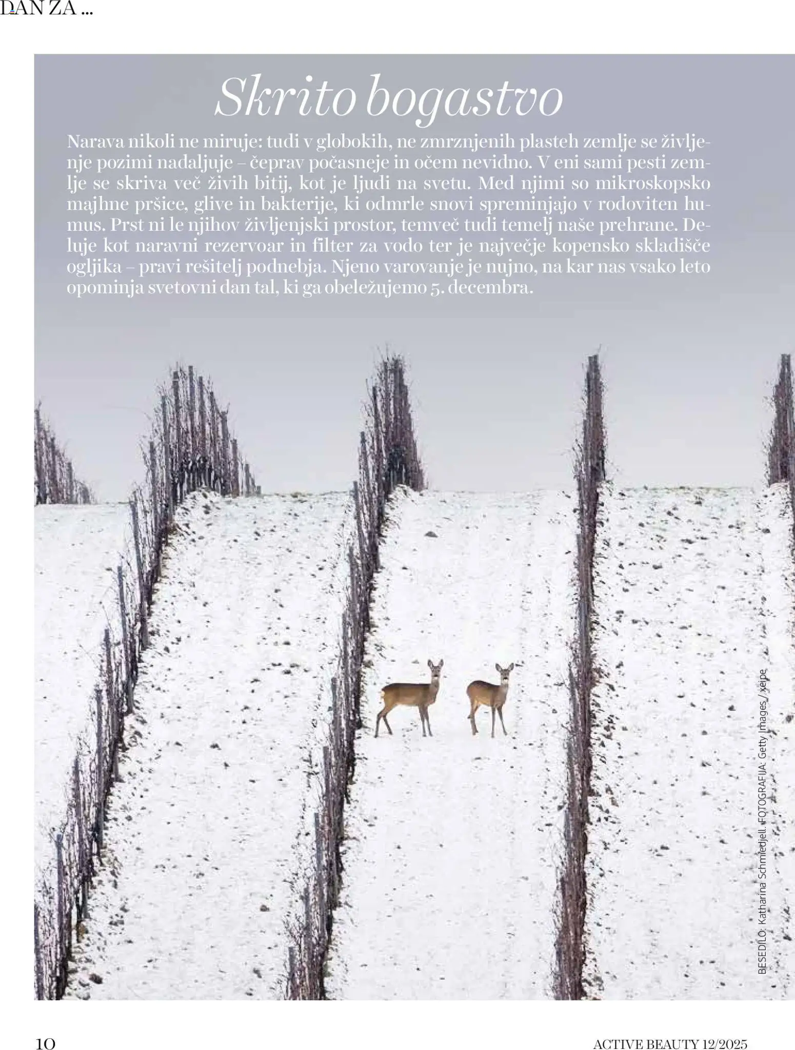 Novi DM Drogerie Markt katalog ponudbe – veljaven od 01.12.2025 | Stran: 10