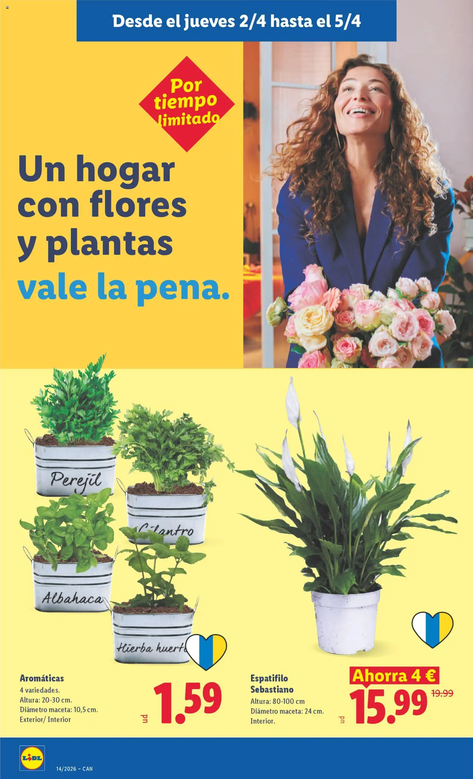 Lidl folleto │ válido desde el 30.03.2026 | Página: 40 | Productos: Maceta