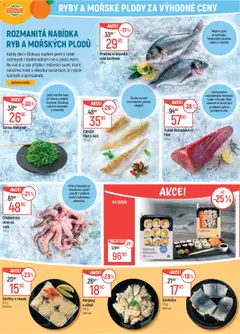 Globus leták od 18.06.2025 | Strana: 11 | Produkty: Globus, Ryby, Candát, Wakame