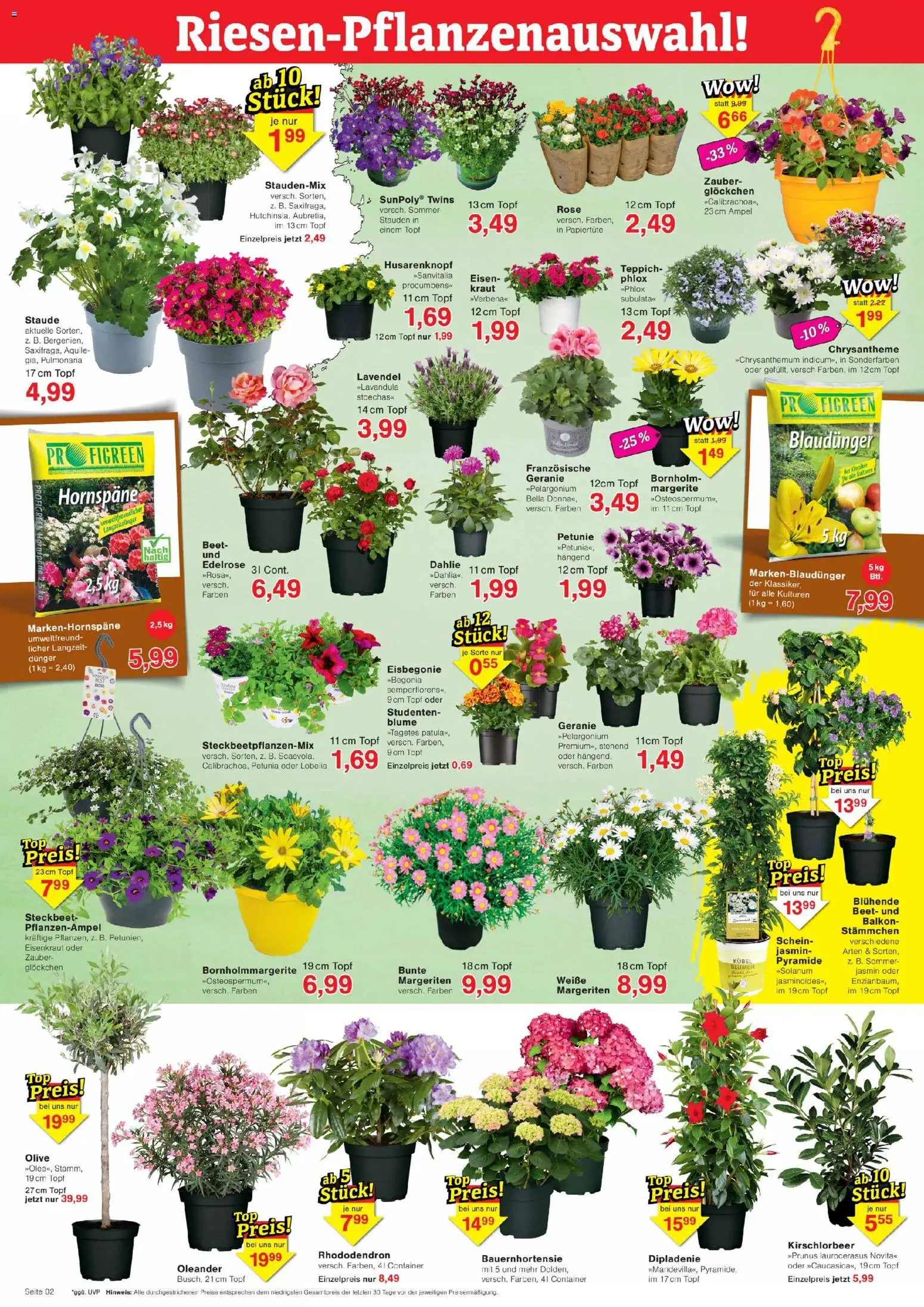 Jawoll Neueröffnungs Prospekt: Dorf Mecklenburg und Schwerin  – gültig ab 13.04.2026 | Seite: 2 | Produkte: Haribo, Smarties, Milka, Nudeln