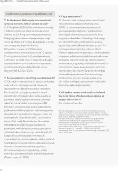 Oriflame katalog wellosophy vodnik po izdelkih │ velja od 18.12.2023 | Stran: 48