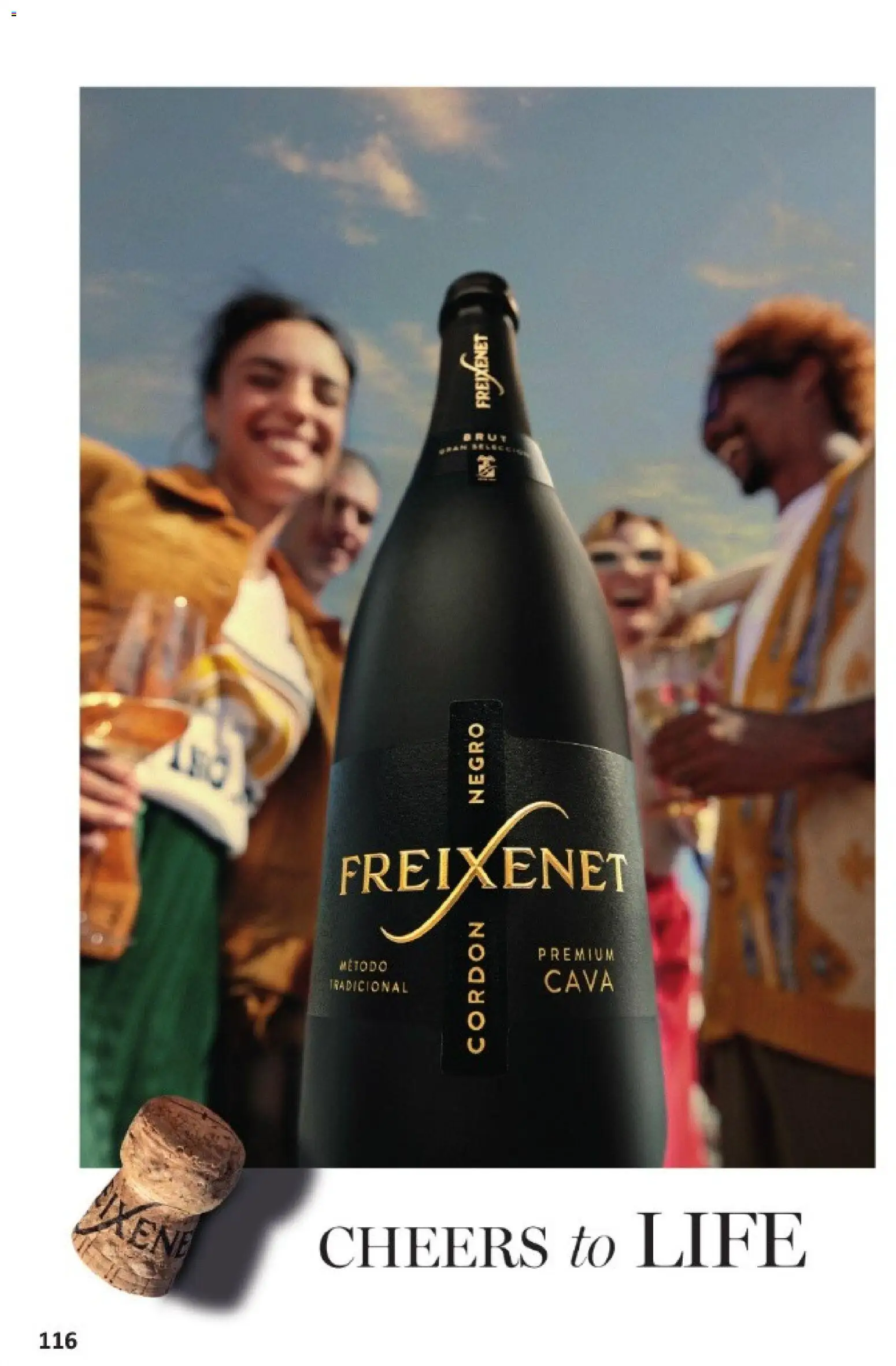 Vrutak katalog | vrijedi od 01.11.2025 | Stranica: 116