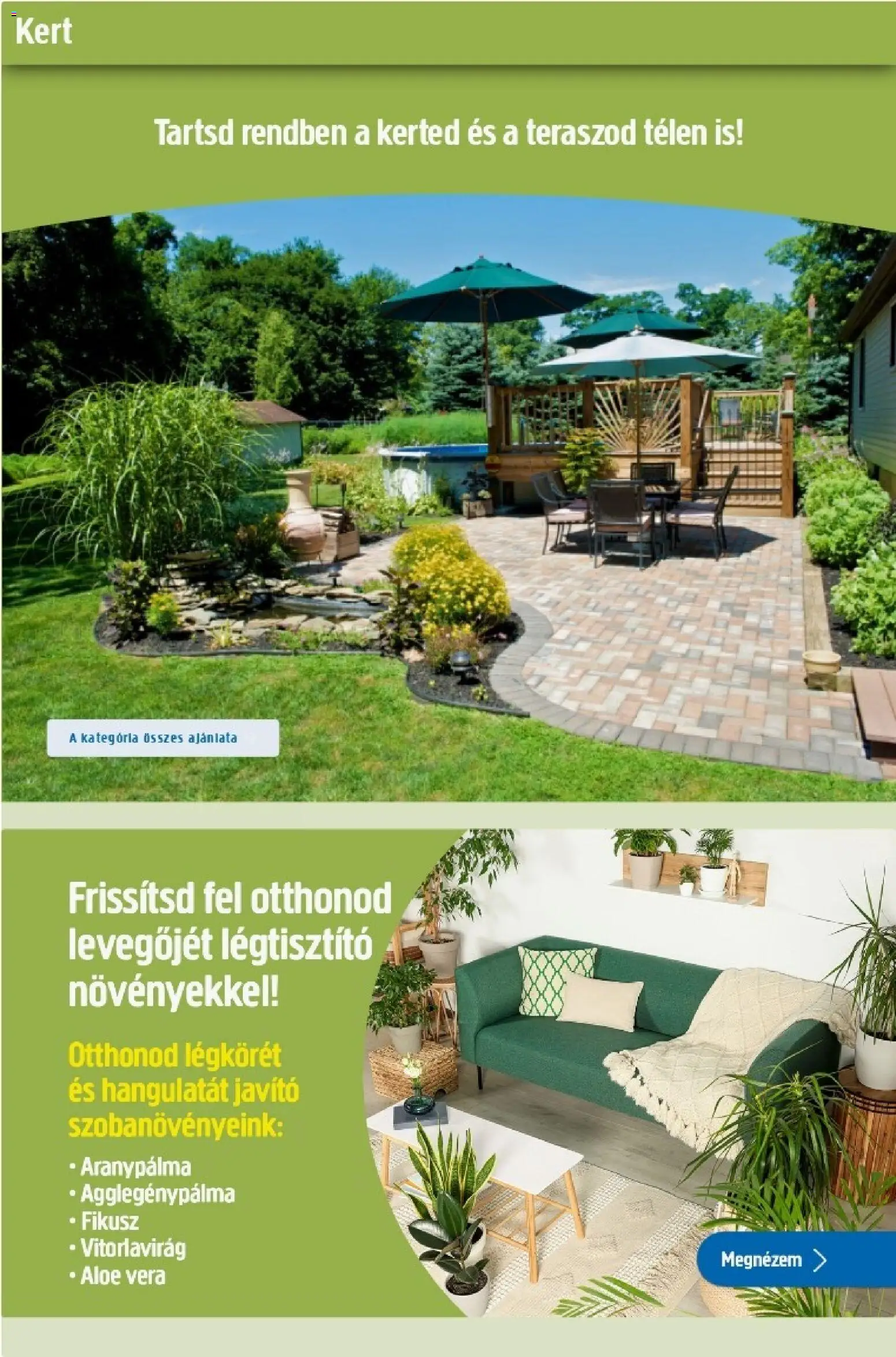 Praktiker akciós ujság - amely érvényes a következő dátumtól: 02.01.2026 | Oldal: 26 | Termékek: Légtisztító, Aloe vera