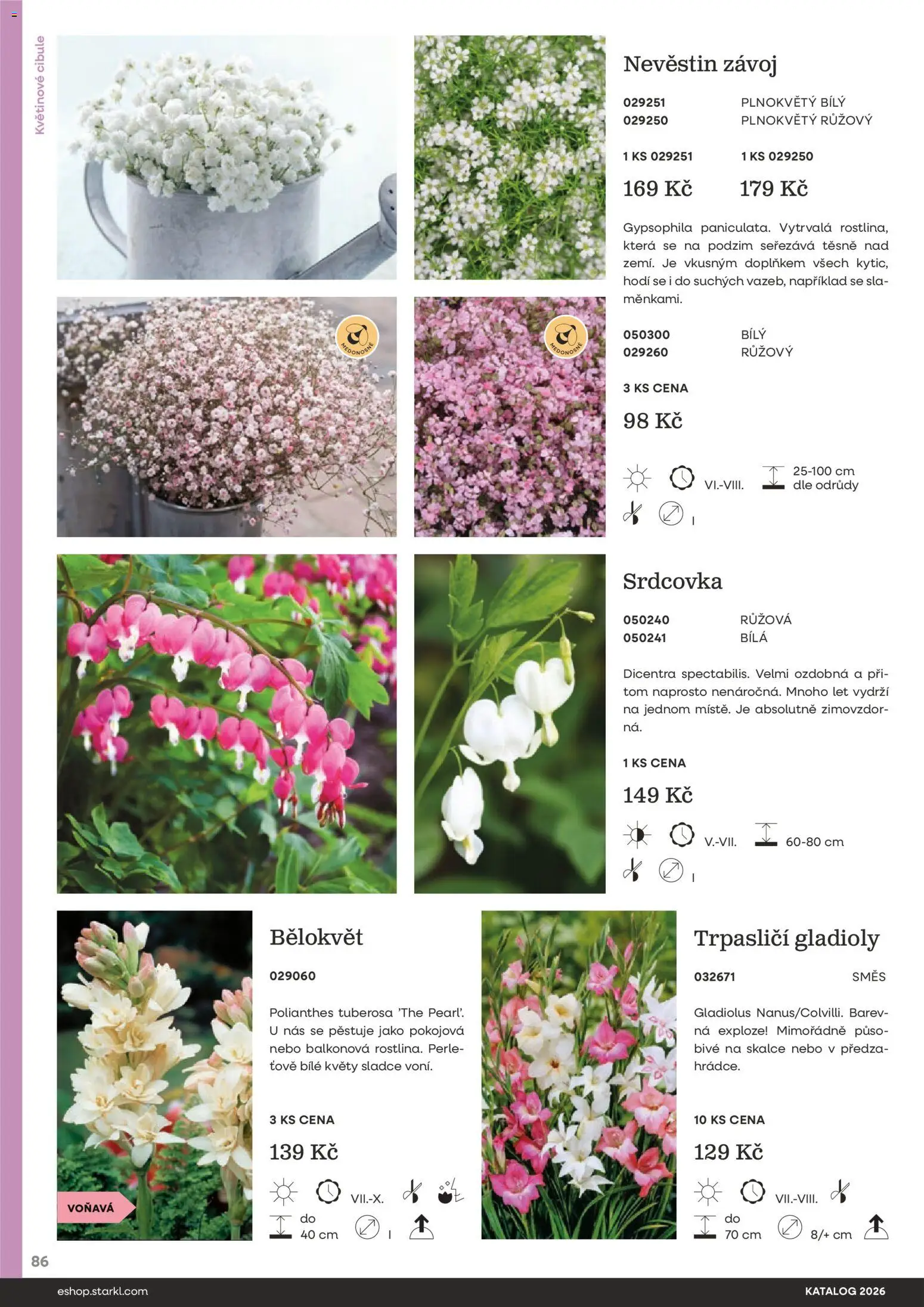 Starkl katalog od 25.02.2026 | Strana: 86 | Produkty: Cibule