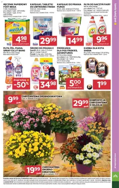 Pogląd oferty "Stokrotka Gazetka" - ważna od 23.10.2025 | Strona: 31 | Produkty: Stokrotka, Finish, Ręcznik papierowy, Owoce