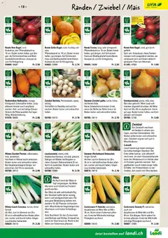 Landi ( Deaktivovane pre Letakomat )  Aktionen ab 07.01.2026 gültig | Seite: 15 | Produkte: Rande, Zwiebeln, Raclette