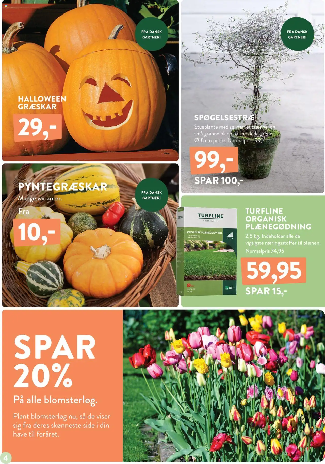 Plantorama tilbudsavis – gyldig fra 10.10.2025 | Side: 4 | Produkter: Græskar