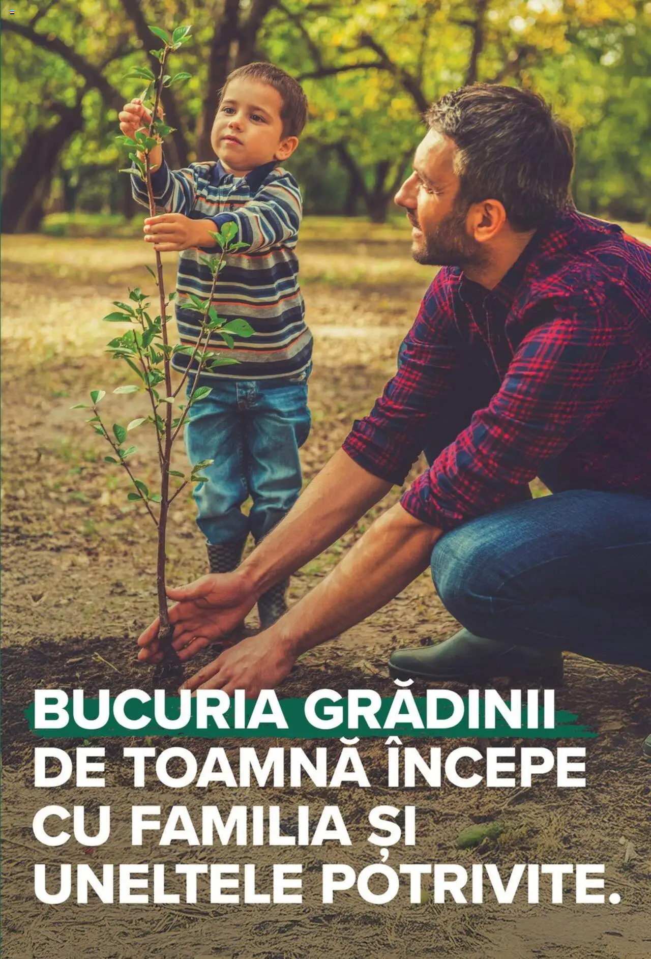 Noul catalog Carrefour – valabil de la 24.09.2025 | Pagină: 53