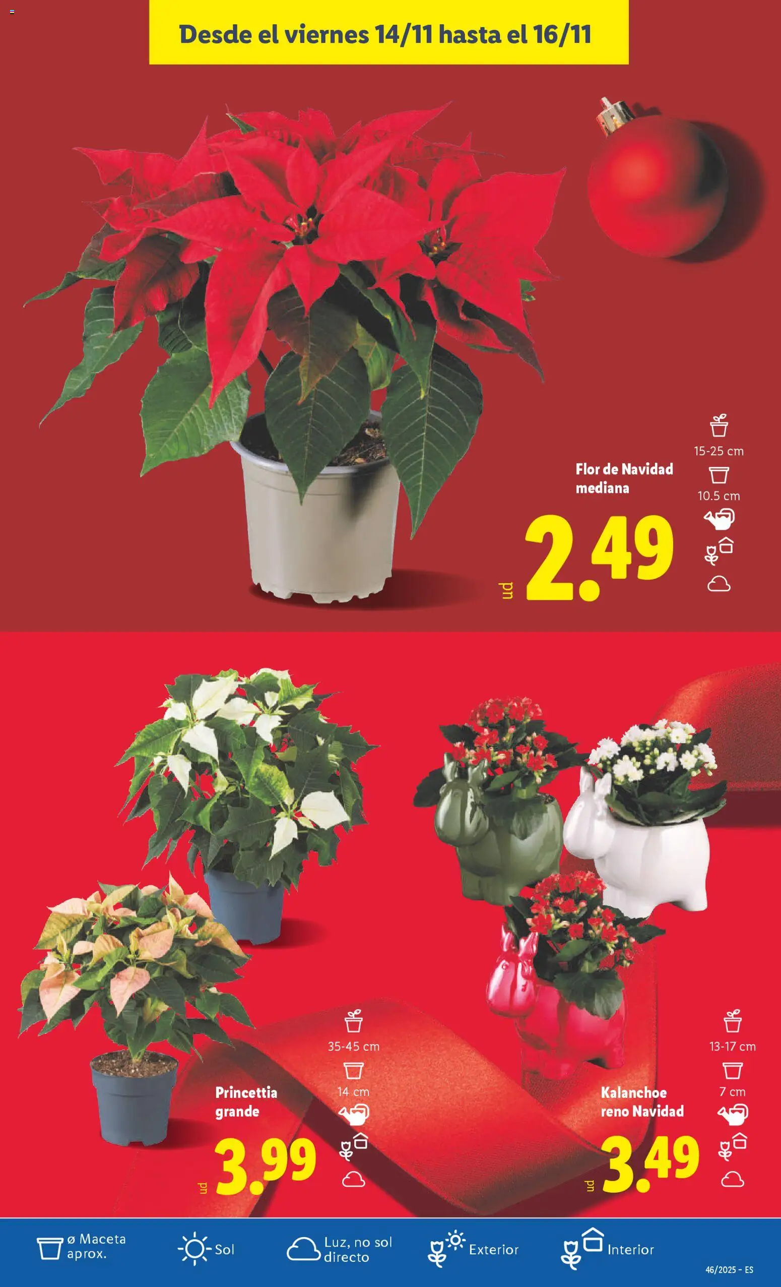 Lidl folleto │ válido desde el 10.11.2025 | Página: 47 | Productos: Maceta