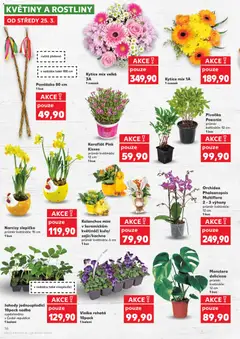 Náhled letáku Kaufland leták od 25.03.2026 | Strana: 16