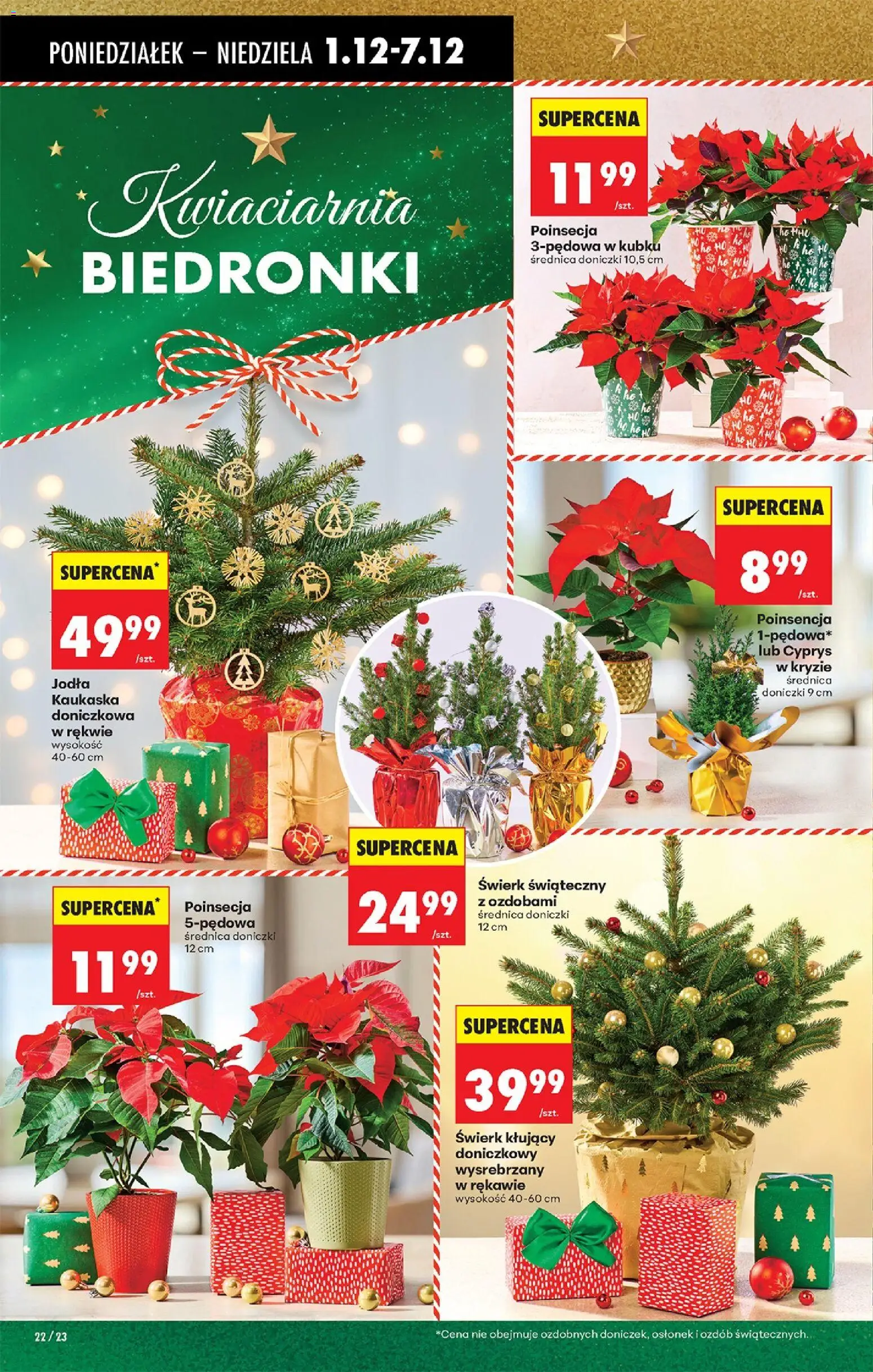 Biedronka gazetka od 01.12.2025 | Strona: 30 | Produkty: Jodła kaukaska, Doniczki