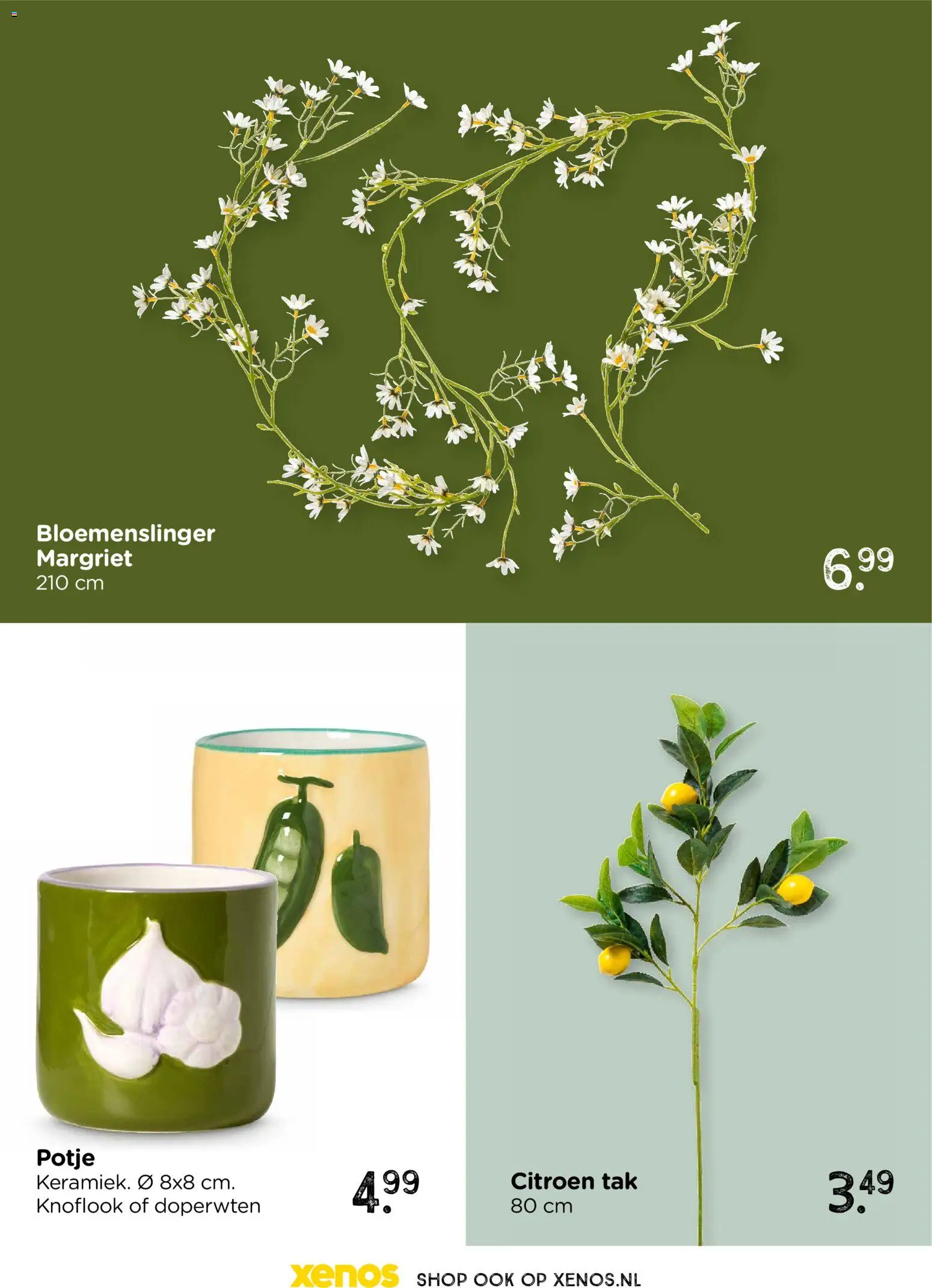 {H1} | Pagina: 26 | Producten: Citroen, Knoflook