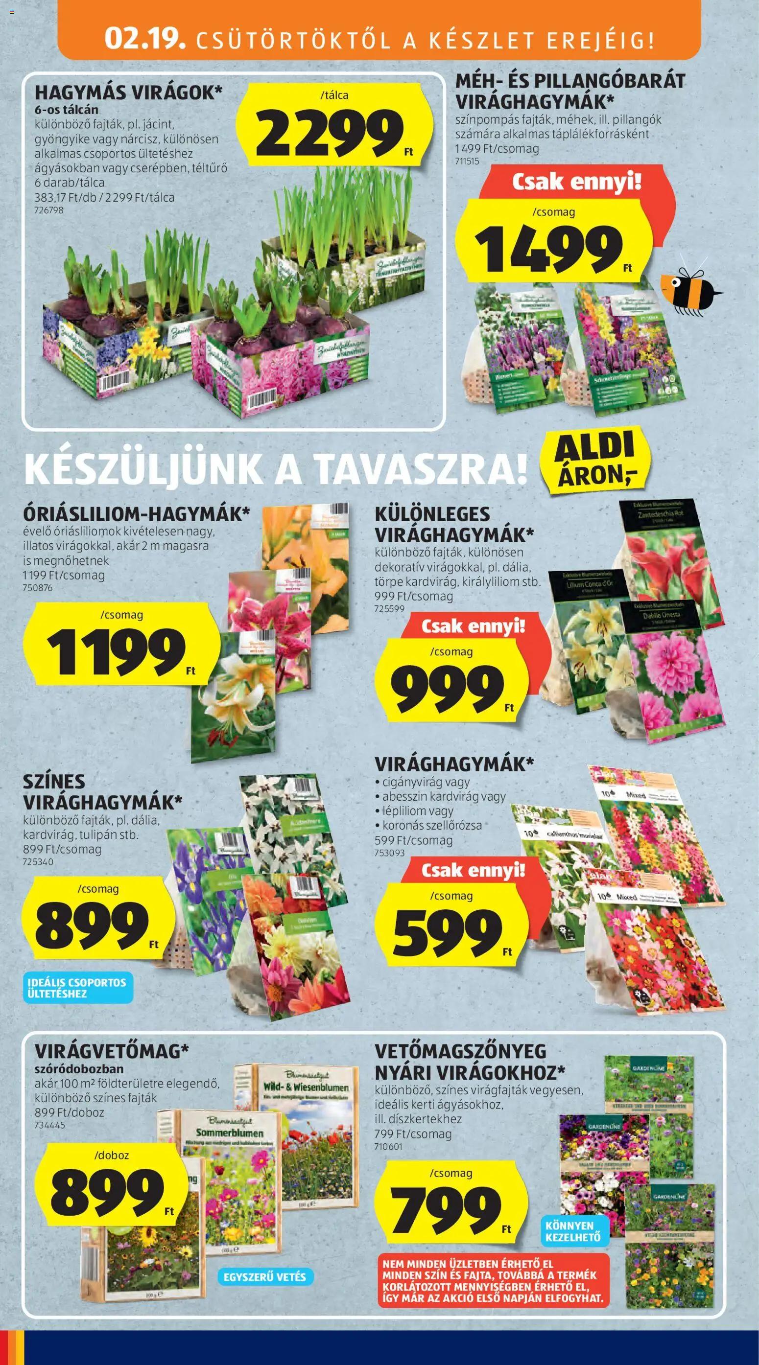 Aldi akciós ujság - amely érvényes a következő dátumtól: 19.02.2026 | Oldal: 26 | Termékek: Tulipán