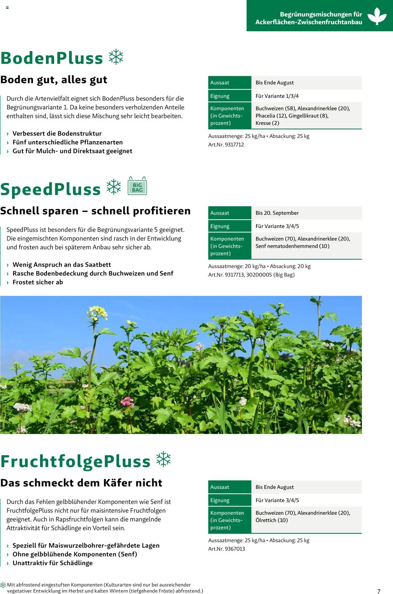 Lagerhaus Fachblatt Zwischenfrüchte & Begrünungen gültig ab 27.03.2025 | Seite: 7