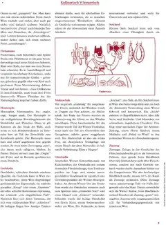 Radatz Schmeckt ab 01.11.2025 gültig | Seite: 9 | Produkte: Gewicht, Wein, Rindfleisch