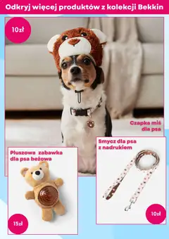 Pogląd oferty "Pepco Gazetka" - ważna od 08.01.2026 | Strona: 11 | Produkty: Czapka, Smycz dla psa